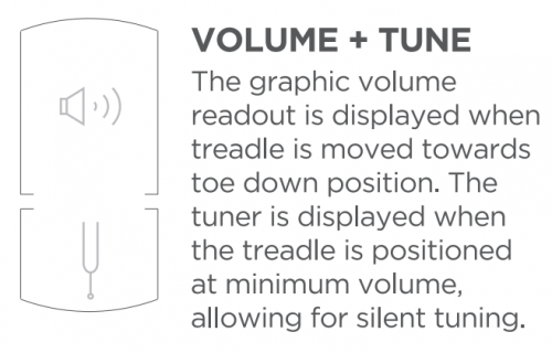 Pédale 2 en 1 volume et accordeur numérique Ernie Ball VP JR Tuner